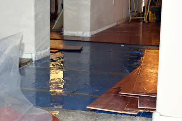 Professional Basement Flood Cleanup technician working in Wadley, AL